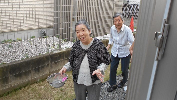 野菜収穫の様子